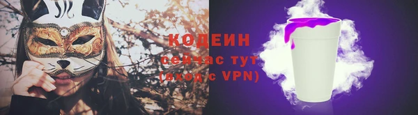 амф Осинники