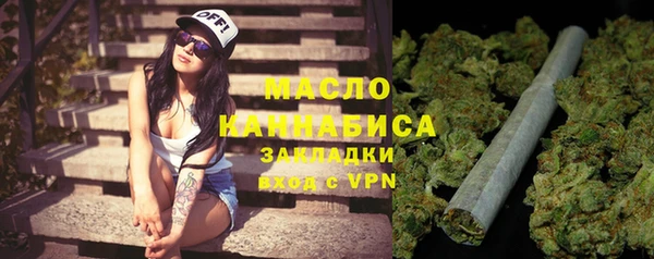 дмт Пестово