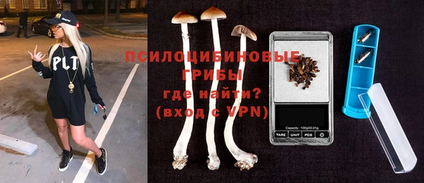 дмт Пестово