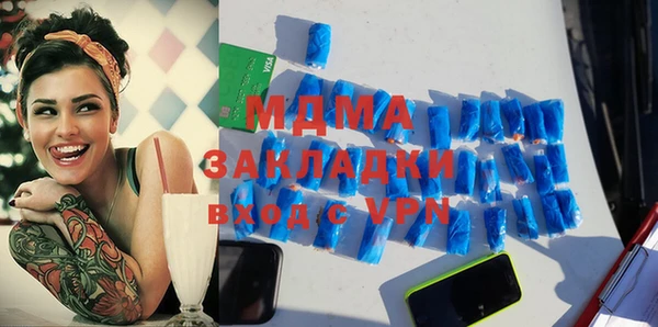 спиды Болотное