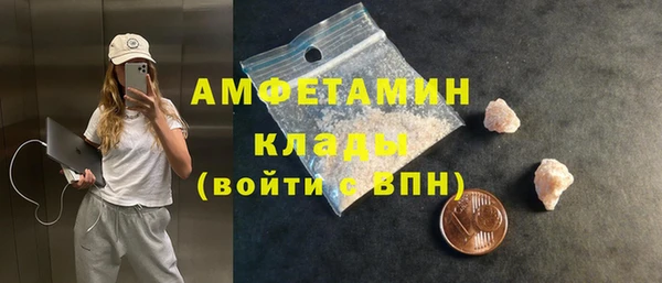 дмт Пестово