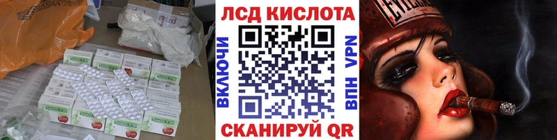 KRAKEN   где продают   Ардатов  Лсд 25 экстази ecstasy 