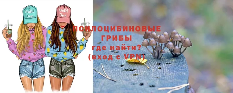 как найти наркотики  Ардатов  Галлюциногенные грибы MAGIC MUSHROOMS 