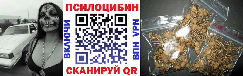 Псилоцибиновые грибы Psilocybe  Ардатов 