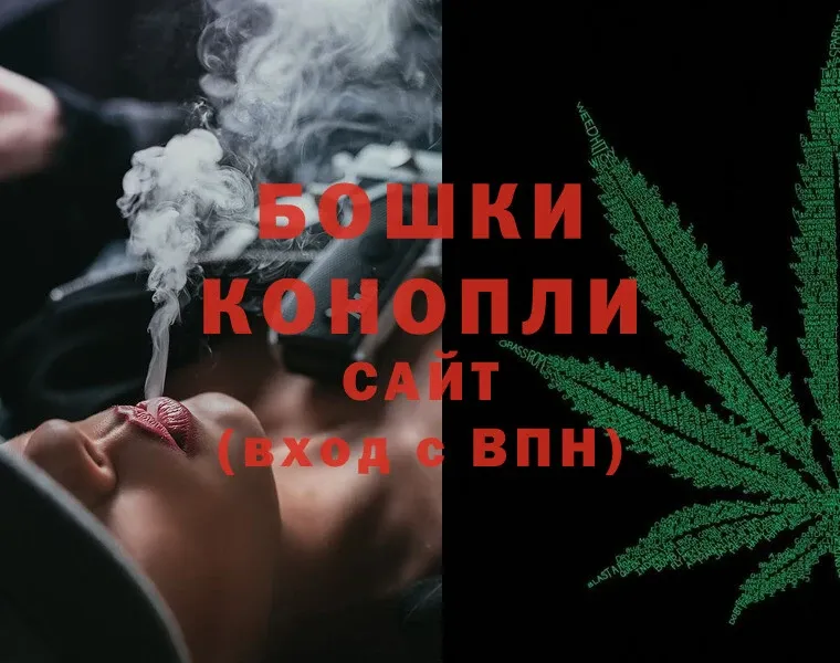 закладка  Ардатов  Бошки марихуана конопля 